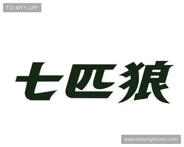 七匹狼网上娱乐平台专业客服全天在线，保障您的账户安全