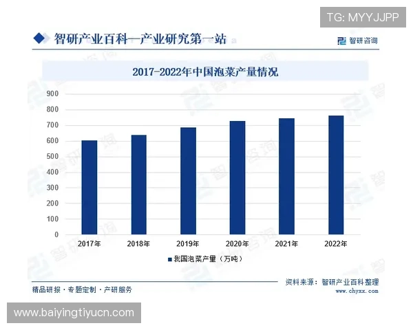 飞驰国际在全球市场中的竞争优势分析与展望